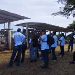 Aprendiz Agro