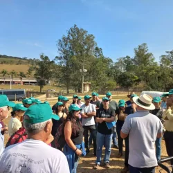 Barra Mansa - 07