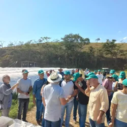 Barra Mansa - 10