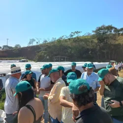 Barra Mansa - 12