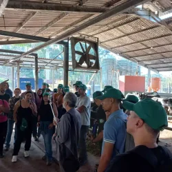 Barra Mansa - 16