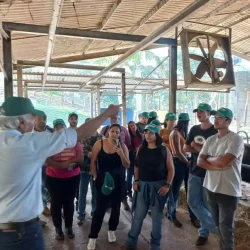 Barra Mansa - 19