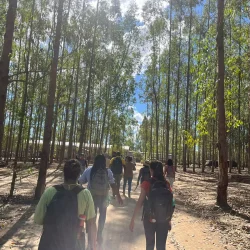 Campos - 01